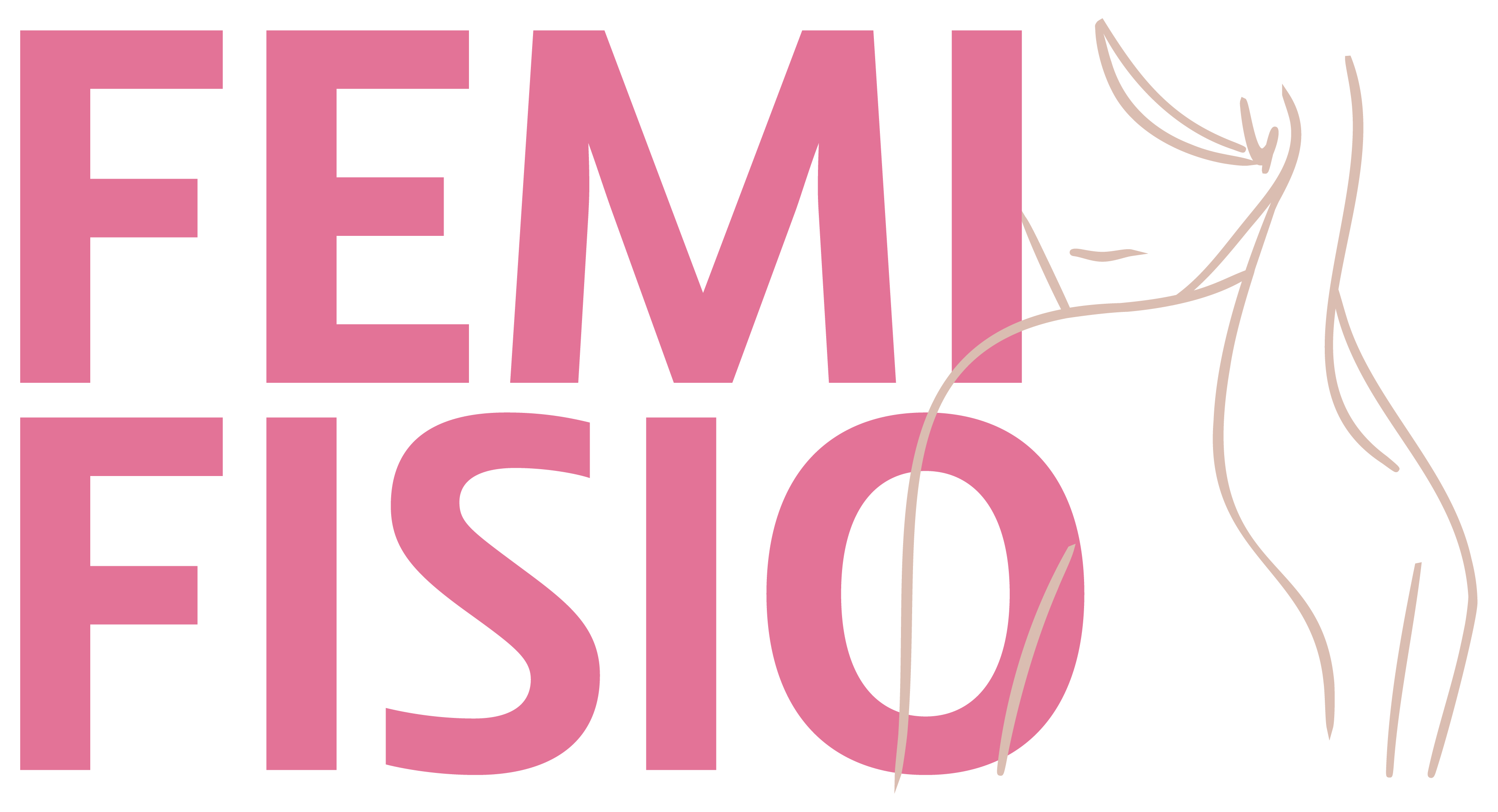 Femi Fisio